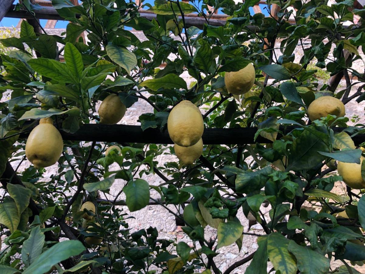 Appartamento Trentino II Comano Terme Εξωτερικό φωτογραφία